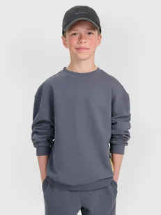 4F Bluza dresowa oversize nierozpinana bez kaptura chłopięca - szara 122 (6-7 lat) - Bluzy dla chłopców 4F Bluza dresowa oversize nierozpinana bez kaptura chłopięca - szara 122 (6-7 lat) - Bluzy dla chłopców - miniaturka - grafika 1