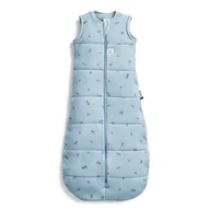 Śpiworki dla dzieci - Ergopouch Śpiworek Jersey 3-12m 2.5tog Dragonflies - miniaturka - grafika 1