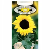 Nasiona i cebule - SŁONECZNIK DONICZKOWY JEDNOKWIATOWY NASIONA p. 191660.67 - miniaturka - grafika 1