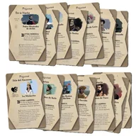 Akcesoria do gier planszowych - Pax Hispanica Zestaw 1 Konkwistadorzy Galakta - gra - miniaturka - grafika 1