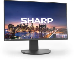 Sharp MultiSync EA241F 24" FHD LCD Czarny - Monitory - miniaturka - grafika 1