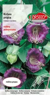 Nasiona i cebule - Nasiona Kobea pnąca fioletowa 0,8g - Torseed - miniaturka - grafika 1
