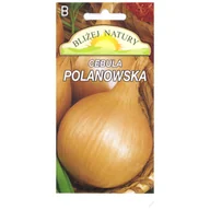 Nasiona i cebule - Cebula Polanowska żółta okrągła 2 POLAN - miniaturka - grafika 1