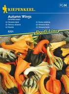 Nasiona i cebule - Kiepenkerl Dynia ozdobna Autumn Wings Kiepenkerl 102594 - miniaturka - grafika 1