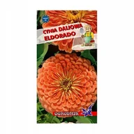 Nasiona i cebule - Cynia daliowa Eldorado 1g / O / - miniaturka - grafika 1