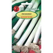 Nasiona i cebule - Nasiona Pora Por Sałatkowy Bulgaarse Reuzen Odmiana Wczesna Legutko 1g - miniaturka - grafika 1