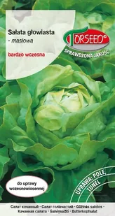 Nasiona Sałata głow.masł.(do upr.w tun.i w polu) Bona - Torseed - Nasiona i cebule - miniaturka - grafika 1