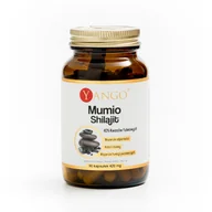 Przeziębienie i grypa - YANGO Mumio ( Shilajit ) 40% kwasów fulwowych 90 kaps. - miniaturka - grafika 1
