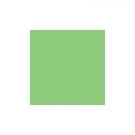 Szkolne artykuły papiernicze - Brystol karton kolorowy B2 50x70 cm zielony - miniaturka - grafika 1