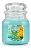 Świece - Country Candle Średnia świeca zapachowa z dwoma knotami Mango Nectar 453 g - miniaturka - grafika 1