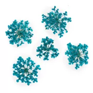 Ozdoby do paznokci - Mollylac Ozdoba Do Paznokci Suszone Kwiatki Turquise - miniaturka - grafika 1