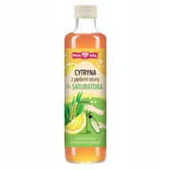 Syropy i koncentraty owocowe - POLSKA RÓŻA Syrop Cytryna z Pędami Sosny do Saturatora Lemoniada 250ml - miniaturka - grafika 1