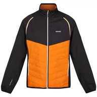 Kurtki męskie - Kurtka męska Regatta Steren Hybrid Rozmiar: L / Kolor: pomarańczowy - miniaturka - grafika 1
