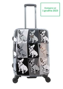 Walizka mała kabinowa SAXOLINE BULLDOG Mono S - Walizki - miniaturka - grafika 1