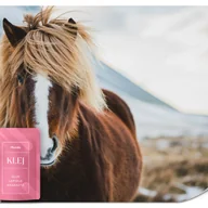 Fototapety - FOTOTAPETA ŚCIENNA ISLANDZKI DZIKI KOŃ NATURA ZIMOWY KRAJOBRAZ 3D 350x256 - miniaturka - grafika 1