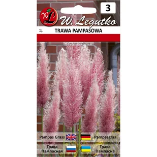 Trawa pampasowa różowa nasiona W. Legutko - Nasiona i cebule - miniaturka - grafika 1