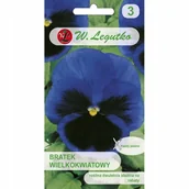 Nasiona i cebule - Nasiona Bratek Alpensee. Thunersee niebieski z plamą 0.50g - W.Legutko - miniaturka - grafika 1