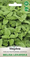 Nasiona i cebule - Melisa lekarska 0,3g nasiona - WegAna - miniaturka - grafika 1