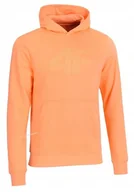 Bluzy męskie - 4F MÄSKA BLUZA DRESOWA Z KAPTUREM KANGURKA / rozm XL - miniaturka - grafika 1