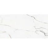 Płytki ceramiczne - Pamesa AT. TURIN 60X120 SATYNA - miniaturka - grafika 1