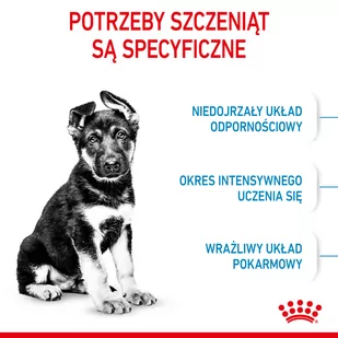 ROYAL CANIN Maxi Puppy 4kg + Advantix - dla psów 25-40kg (4 pipety x 4ml) - Sucha karma dla psów - miniaturka - grafika 4