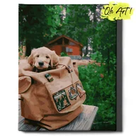 Malowanie po numerach - Obraz Malowanie Po Numerach 40X50 Cm / Szczeniak W Plecaku / Oh Art - miniaturka - grafika 1
