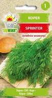 Nasiona i cebule - Toraf Nasiona Koper Sprinter 5g - miniaturka - grafika 1