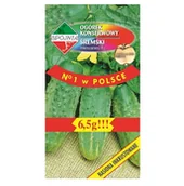 Nasiona i cebule - Ogórek gruntowy wczesny ŚREMSKI F1 nasiona 6,5g - miniaturka - grafika 1