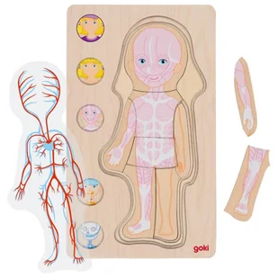 Układanka anatomia ciała dziewczynka Goki - Zabawki sensoryczne - miniaturka - grafika 1
