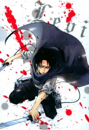 Plakat Anime Attack on Titan aot_006 A1+ (custom)