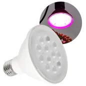 Żarówki LED - Żarówka LED do roślin KOBI Desing Planty 9W E27 - miniaturka - grafika 1