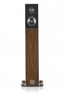 Audio Physic Avanti 35 orzech - Głośniki i kolumny - miniaturka - grafika 1
