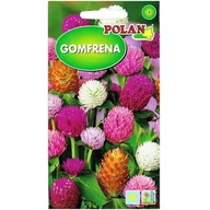 Nasiona i cebule - GOMFRENA KULISTA miesznka kolorów, nasiona 0,3g - miniaturka - grafika 1