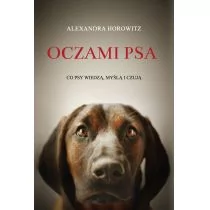 Czarna Owca Oczami psa - Alexandra Horowitz - Rośliny i zwierzęta - miniaturka - grafika 1