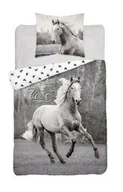 Pościel dla dzieci - Detexpol Pościel bawełniana 140x200 Koń w galopie szary 3627 A czarna biała 0142 konie konik młodzieżowa horse Holland Collection - miniaturka - grafika 1