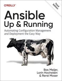 Ansible - Pozostałe książki - miniaturka - grafika 1