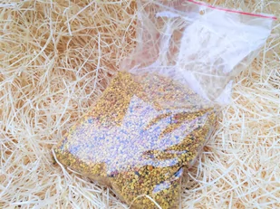 Pyłek pszczeli / kwiatowy 0,5kg tegoroczny - Miód - miniaturka - grafika 1