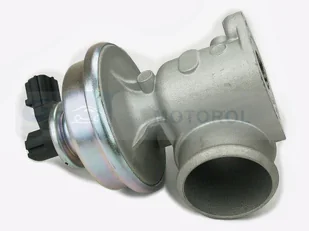 Zawór AGR Delphi EG10449-12B1 - Układ zasilania - akcesoria - miniaturka - grafika 1