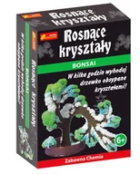 Zabawki kreatywne - Ranok Creative Rosnące kryształy. Bonsai - miniaturka - grafika 1