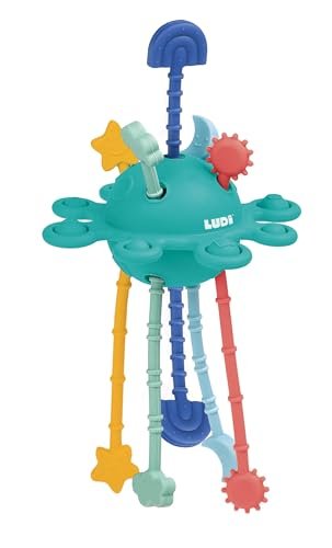 Ludi LUDI ištraukiamas žaislas, Zippy