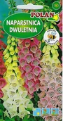 Nasiona i cebule - Naparstnica Dwuletnia mieszana 1 g POLAN - miniaturka - grafika 1