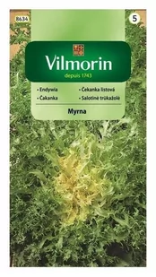 NASIONA OGROD ENDYWIA CYKORIA MYRNA 0,5G VILMORIN - Nasiona i cebule - miniaturka - grafika 1