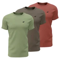 Koszulki męskie - T-shirt męski (ZESTAW KOSZULEK 3 SZT.) 4F 4FWSS24TTSHM1896-91S wielokolorowy Roz. 3XL - miniaturka - grafika 1