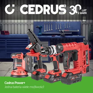 CEDRUS SP1000Li AGREGAT PISTOLET MALARSKI AKUMULATOROWY KOMPRESOR DO MALOWANIA NATRYSKOWEGO CEDSP1000LI 20V POWER+ OFICJALNY DYSTRYBUTOR - AUTORYZOWANY DEALER CEDRUS - Pistolety malarskie - miniaturka - grafika 16