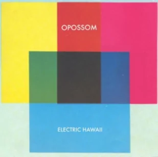 Electric Hawaii Opossom Płyta CD) - Muzyka elektroniczna - miniaturka - grafika 1