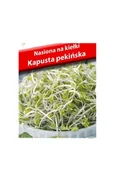 Nasiona i cebule - Nasiona na kiełki Kapusta pekińska 15 g POLAN - miniaturka - grafika 1