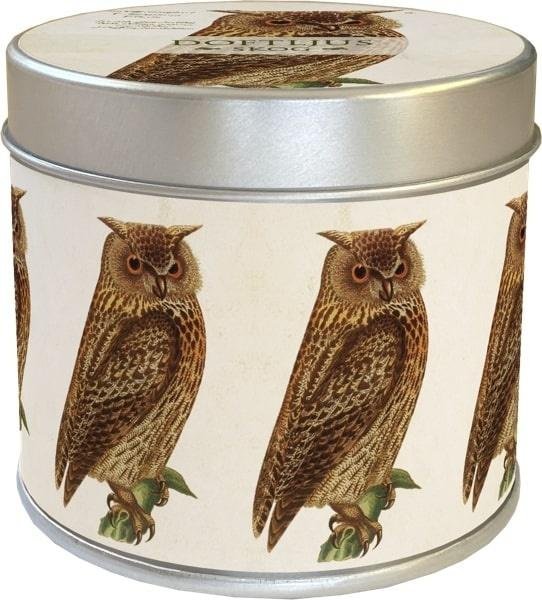 Świeca zapachowa sowa - zapach leśny 205g