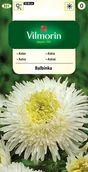 Nasiona i cebule - Aster chiński książęcy Balbinka biały 0,5 g Vilmorin - miniaturka - grafika 1