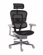 Fotele i krzesła biurowe - Fotel Ergohuman 2 Elite GS Black - miniaturka - grafika 1