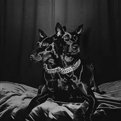 Muzyka klubowa, dance - Nto/Sofiane Pamart - Forever Friends (CD) - miniaturka - grafika 1